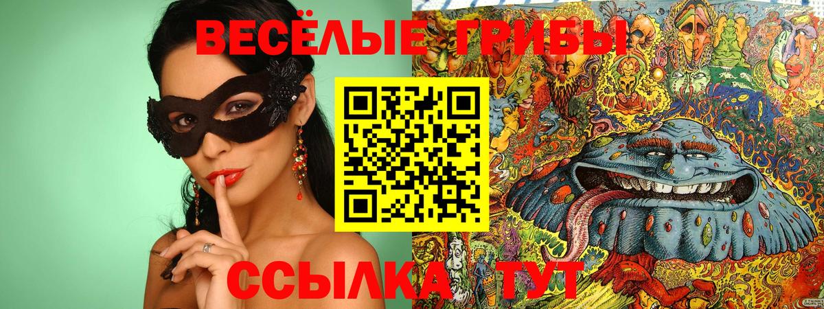 Сокол  Псилоцибиновые грибы ЛСД  купить наркотики цена  Вход с VPN 