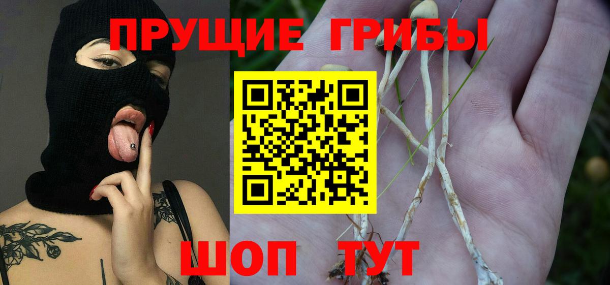 Галлюциногенные грибы Cubensis Сокол